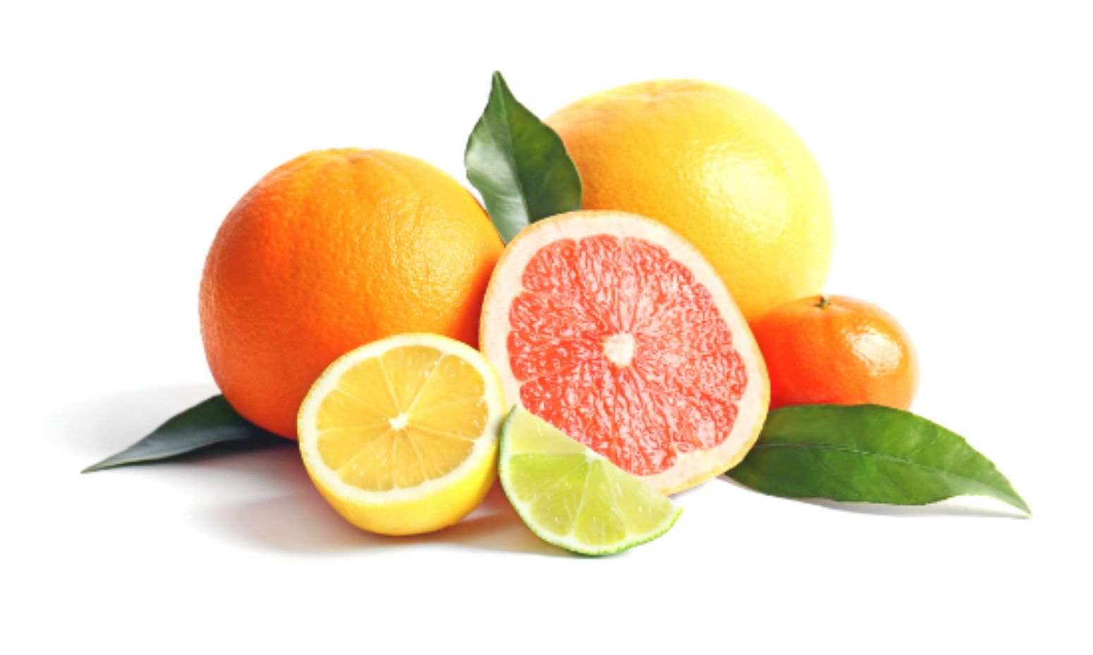 citrus-fruit-collection