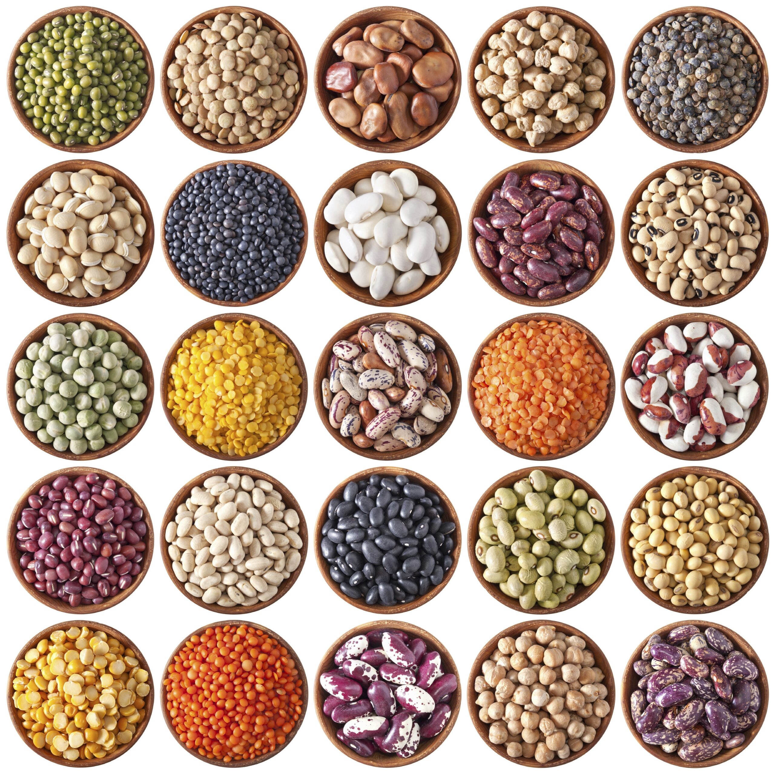 variety-of-beans